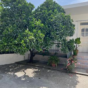 Rooms For Rent Habipi